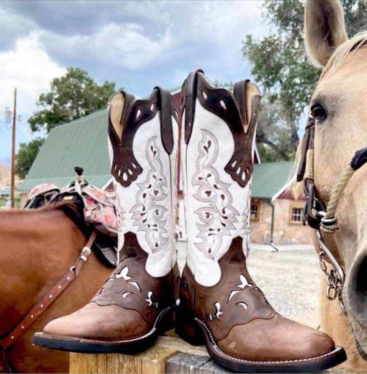 Women’s Short Western Boot – Cream & Brown Cowhide – Jesse Style – Wide Square Toe – 12” Shaft